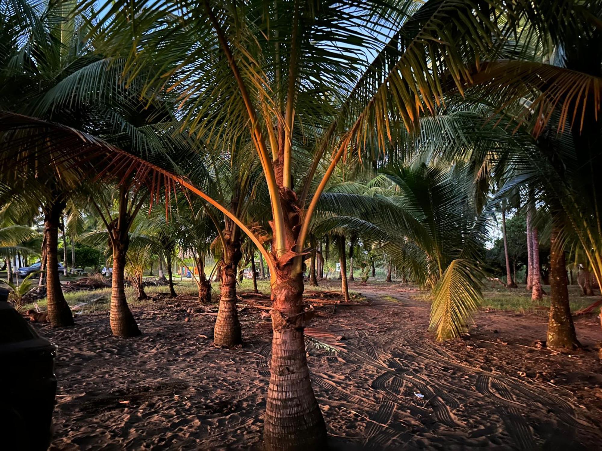 Casa Paraiso Tropical Parrita Bagian luar foto